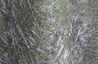 Coombe Bissett fibreglass roof work